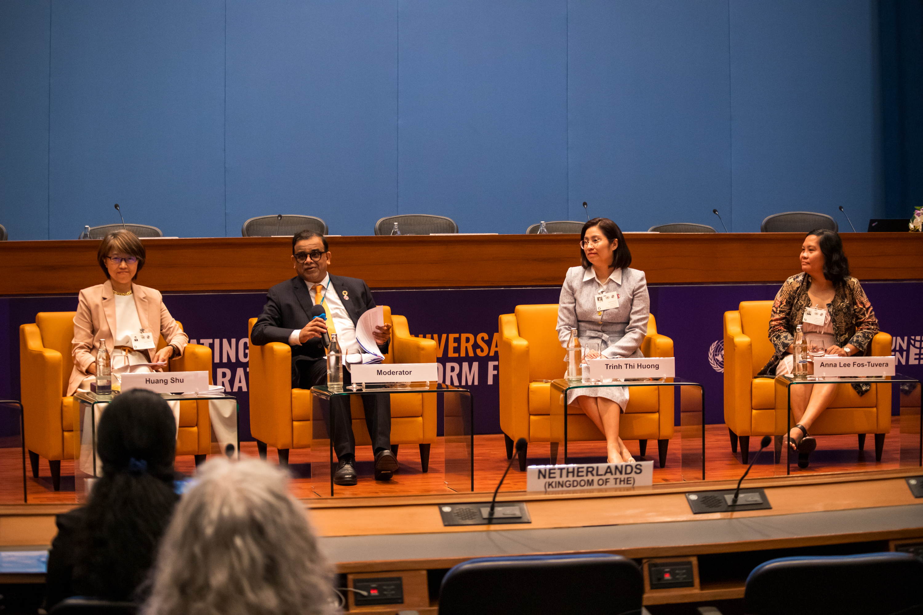 Beijing+30Review-Day2-Item 3 ESCAP Photo/Xi Liu