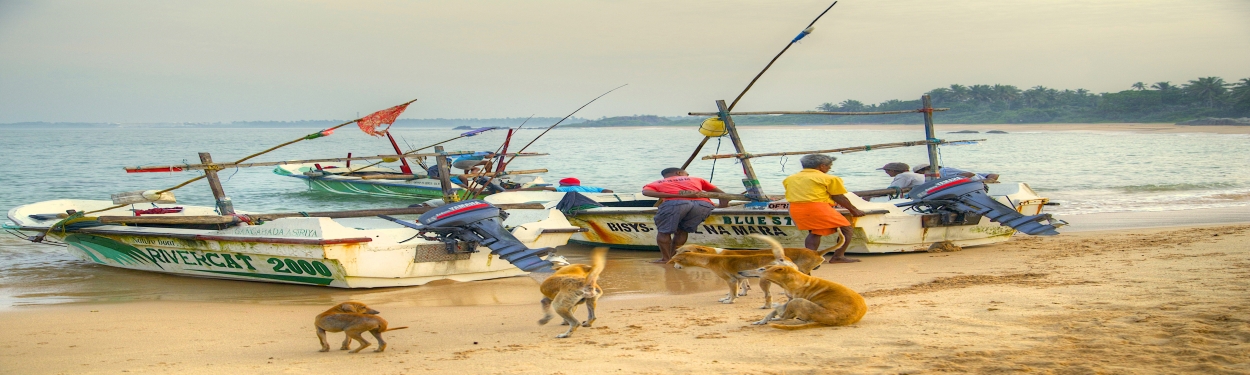 Fishing Boat at Balapitiya Beach